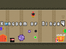 Kingdom of Ninja 4